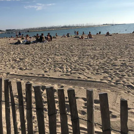 Nid Douillet T2 Wifi Centre Historique 3 Etoiles Διαμέρισμα *