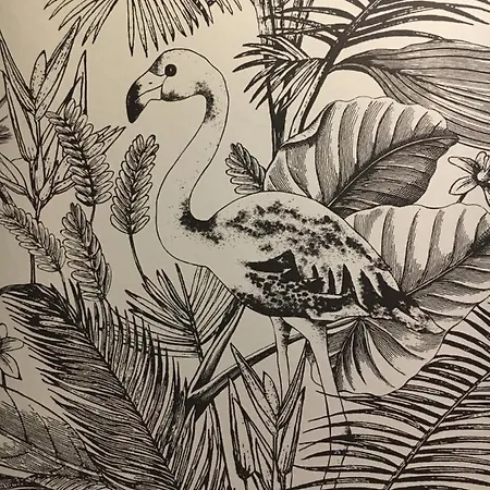 Nid Douillet T2 Wifi Centre Historique 3 Etoiles Διαμέρισμα Λα Ροσέλ