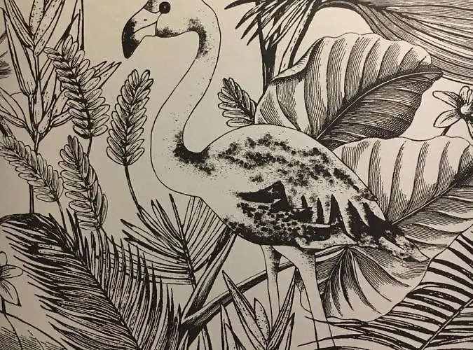 Nid Douillet T2 Wifi Centre Historique 3 Etoiles Apartamento La Rochelle (Charente-Maritime)